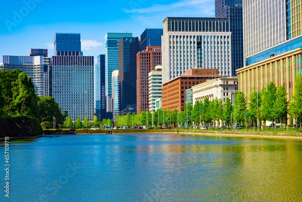 Fototapeta 皇居のお濠の池越しに見る日比谷通りと歩道の街路樹。日比谷、丸の内、大手町の高層ビル群（東京都千代田区）
