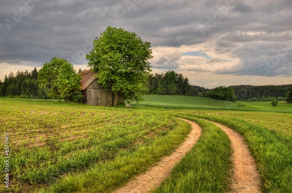 Fototapeta A barn in fields