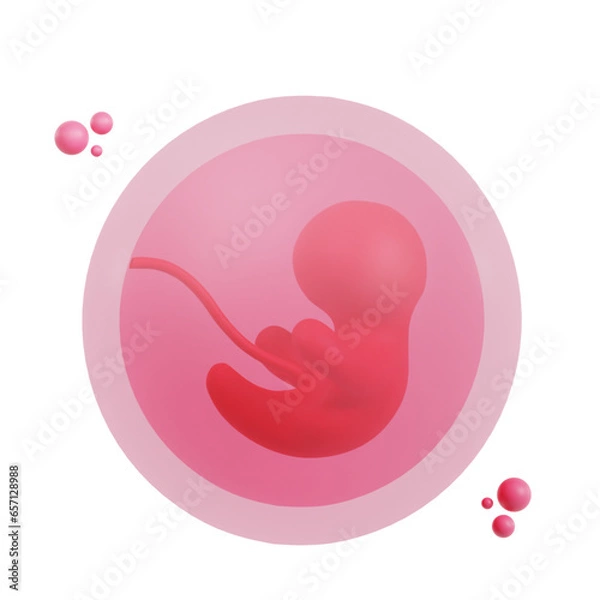 Obraz Embryo 3D Icon