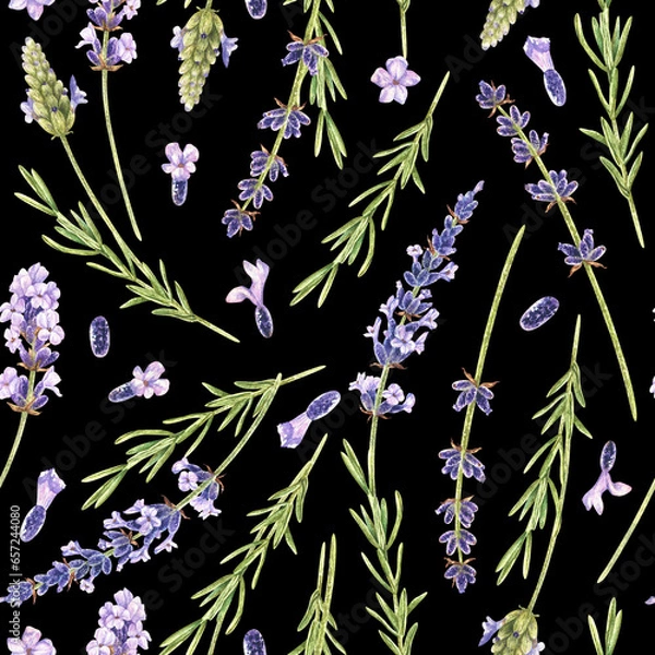 Obraz Lavender flower seamless pattern. Watercolor botanical illustration of purple herb. Hand drawn floral ornament on isolated background. For fabric and wrapping paper. Painting of provence plant