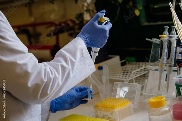 Obraz scientist working with chemicals