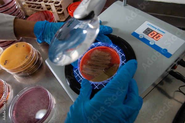 Obraz scientist working in laboratory