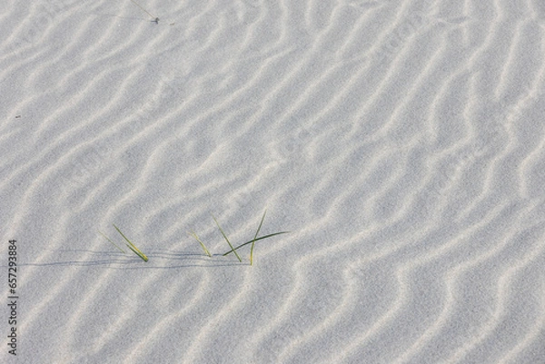 Obraz Verwehung am Strand