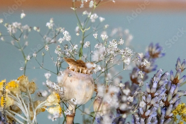 Fototapeta getrockneter Blumenstrauß