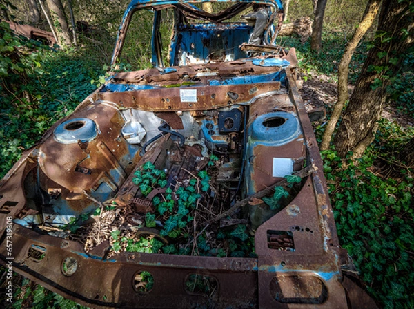 Obraz Seen on the remains of a car, a rusty wreck abandoned in the middle of the forest. Pollution of our environment.