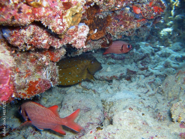 Obraz incontro inaspettato