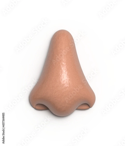 Fototapeta 3D nose