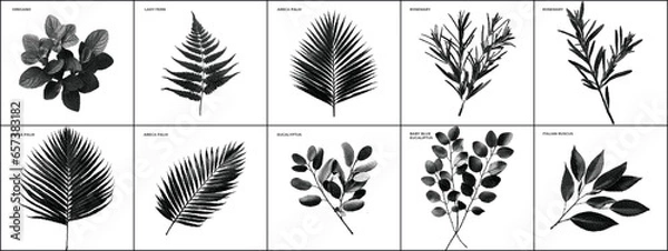 Fototapeta Botanic Dither Bitmap Pixelated Vector