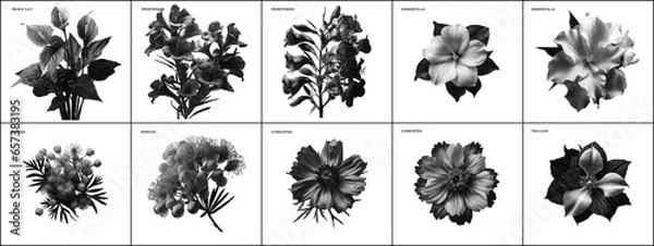 Fototapeta Botanic Dither Bitmap Pixelated Vector