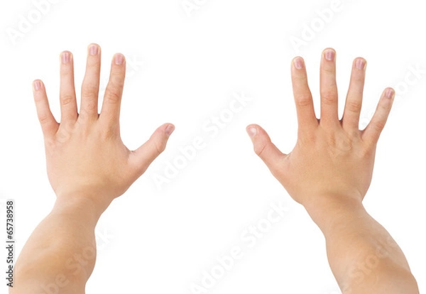 Obraz Two hands pushing forward, isolated on white, clipping path