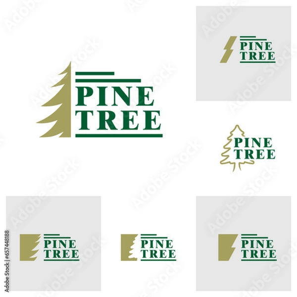 Fototapeta Set of Pine Tree logo design vector. Creative Pine logo concepts template