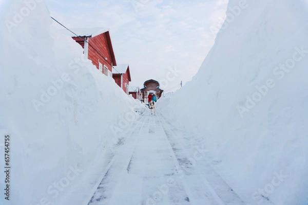Fototapeta a large happy dog runs along the wooden floor between snow drifts to its owner on a frosty day