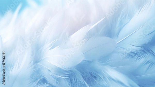 Fototapeta An abstract background with a close-up of soft blue feathers