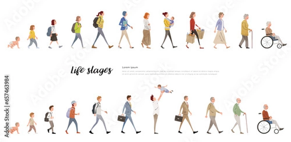 Fototapeta ベクターイラスト素材：男性の一生、女性の一生、人生、ライフステージ
