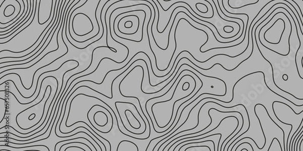 Fototapeta Topographic Background Lines. Seamless Pattern with Lines