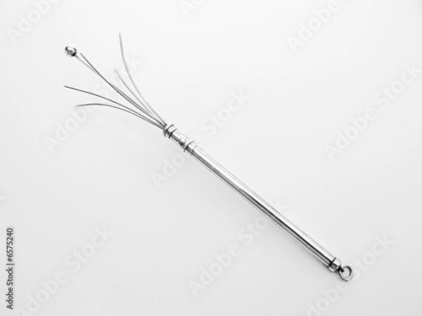 Obraz Silver swizzle stick