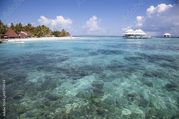 Obraz beach in the Maldives