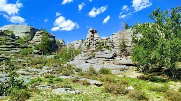 Fototapeta landscape with sky