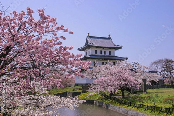 Obraz 松前公園の桜満開