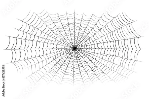 Obraz spider web Halloween isolated on white