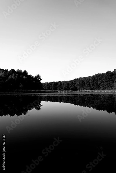 Fototapeta Black forest