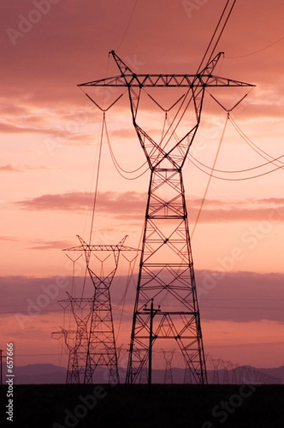 Fototapeta electricity lines with sunset skies