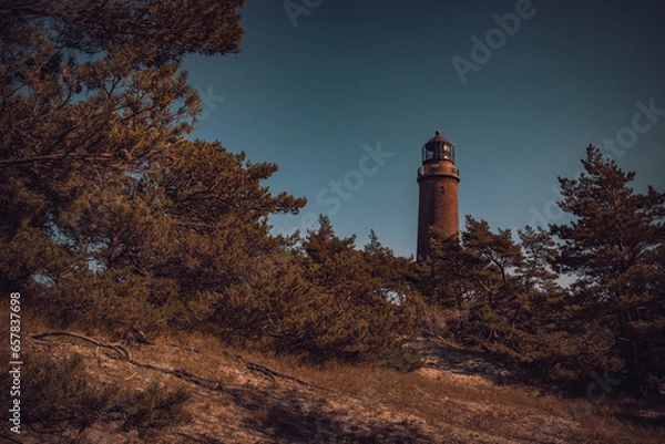 Obraz Lighthouse in the Forest 