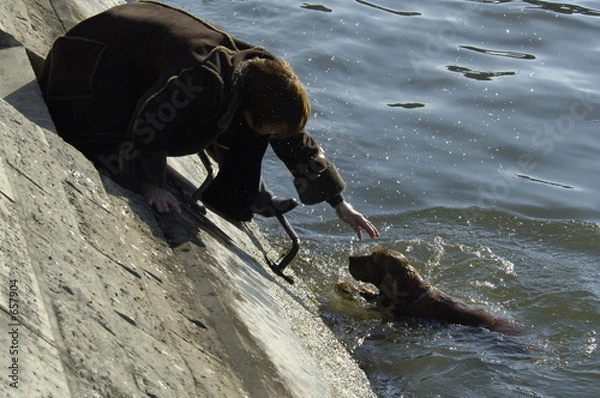 Obraz dog rescue