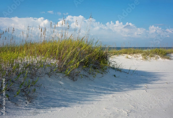 Obraz Breezy Clear Morning at the Gulf of Mexico beach in Pensacola