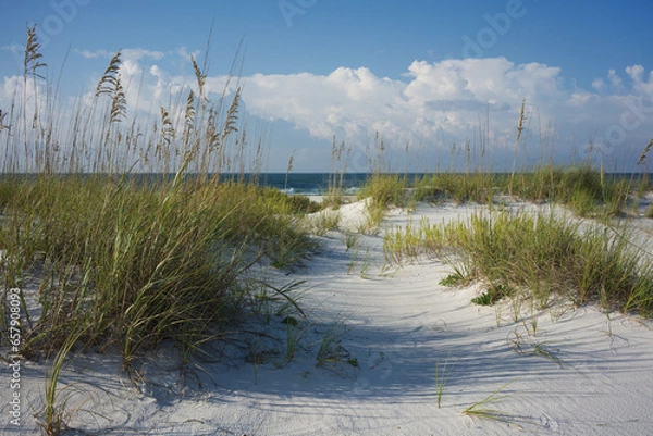 Fototapeta Rosy Dawn in the Sand Dunes at Pensacola Beach