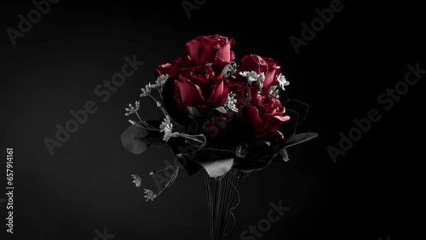 Fototapeta Roses in fine art style with dark background