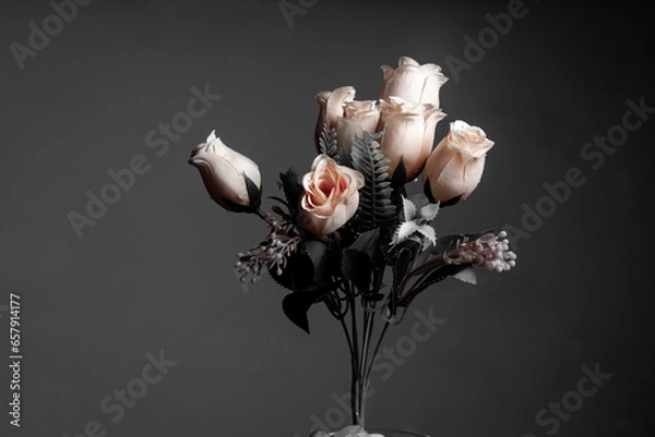 Fototapeta Roses in fine art style with dark background