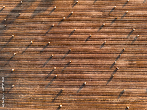 Obraz Hay Bales at Sunset
