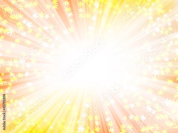 Fototapeta もみじ　紅葉　背景