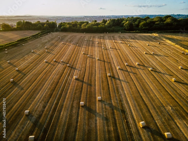 Obraz Hay Bales at Sunset