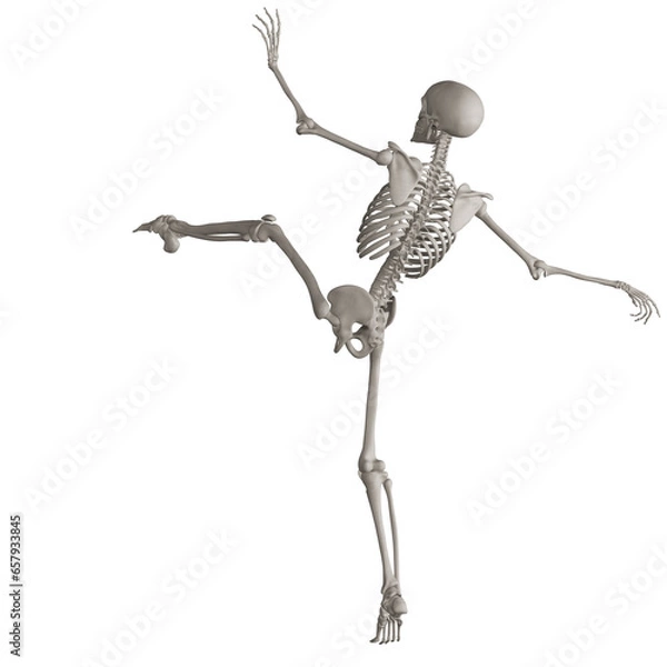 Fototapeta skeleton posing 3d render illustration with transparent background	
