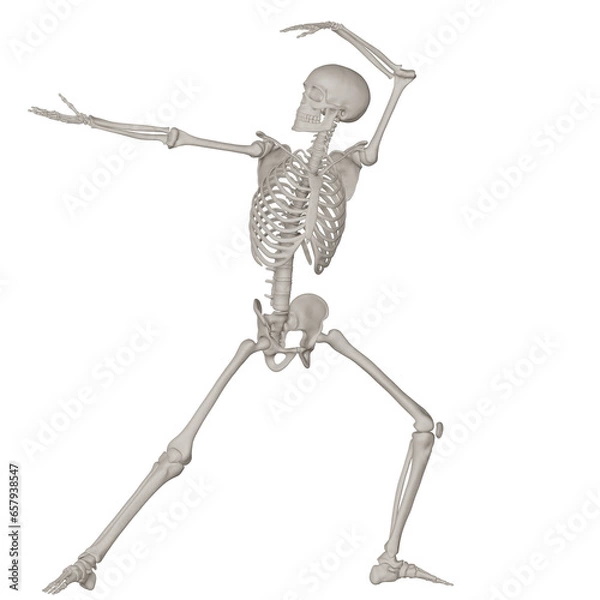 Fototapeta skeleton posing 3d render illustration