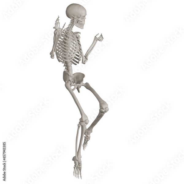 Fototapeta skeleton posing 3d render illustration