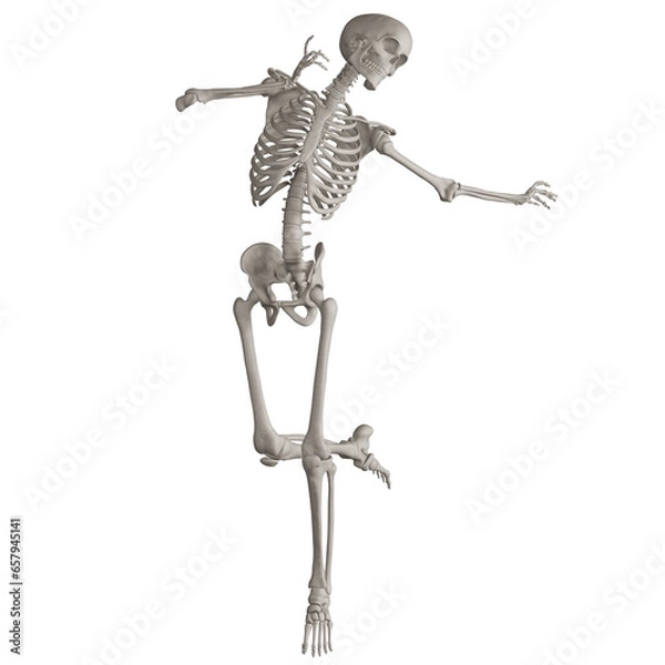 Fototapeta skeleton posing 3d render illustration