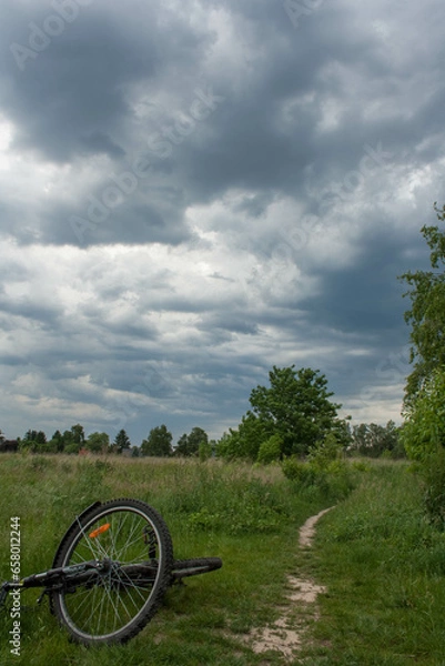 Obraz cloudscape over a green field with a small path in it