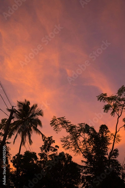 Obraz sunset on the beach