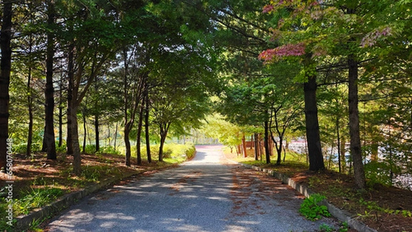 Obraz autumn scenery