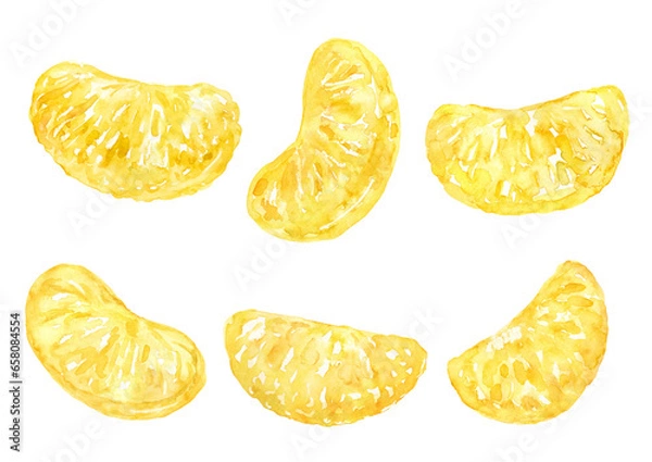 Obraz はっさくの中身の房　水彩イラスト