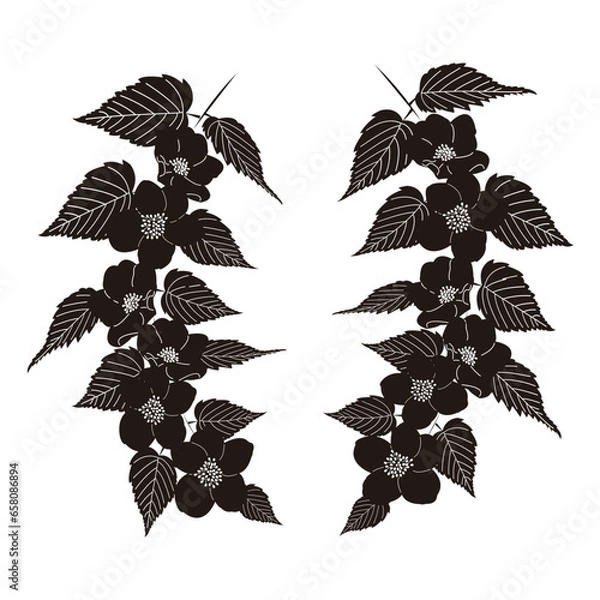 Obraz やまぶきの花輪