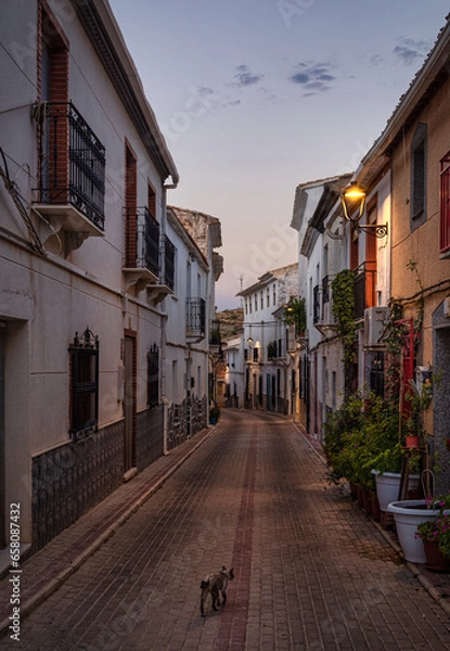Obraz Atardecer rural
