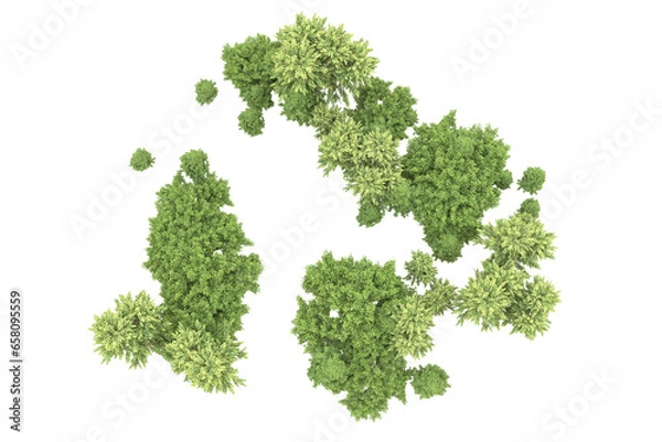 Fototapeta Realistic forest isolated on transparent background. 3d rendering - illustration