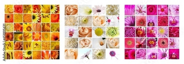 Obraz COLLAGE VARIEDAD DE FLORES