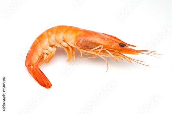 Obraz langostino