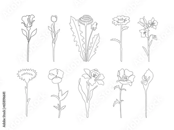 Obraz A set in which a rose, a tulip, a dandelion, a calla lily, a chamomile, a bell, a cornflower, a violet, a narcissus, a poppy with a black outline without abstract spots are drawn in the style of a lin
