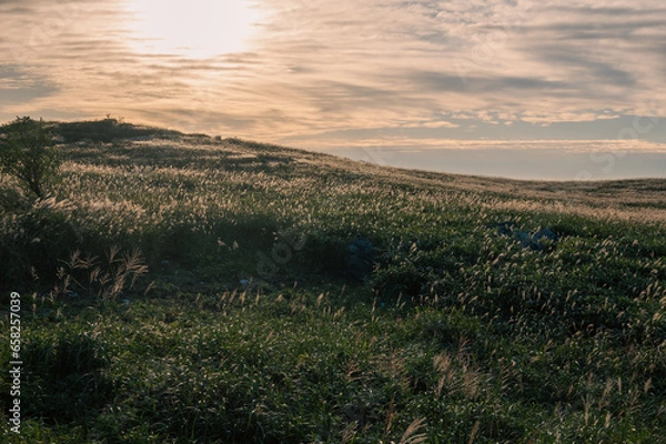 Fototapeta 四国カルスト